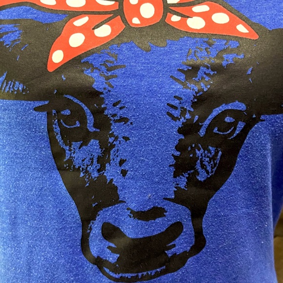 Blue Highland Heifer Short Sleeve Tee Sz M - Picture 2 of 14